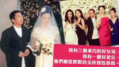 Brigitte Lin Chin Hsia Michael Ying Divorce Rumors