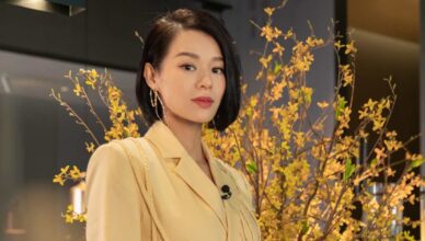 Myolie Wu Under Fire with Chinese Netizens for Using "China" Instead of "Mainland" in English Comment Defending Husband