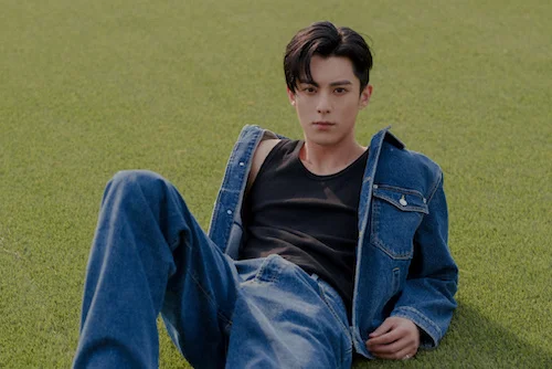What Weibo fan-based awards has the Chinese actor Dylan Wang